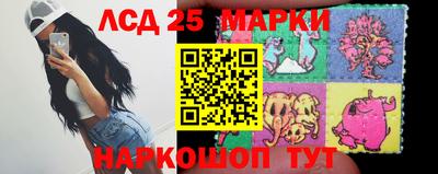 apvp Бийск
