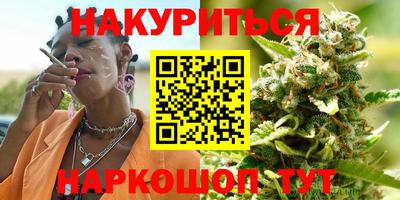 apvp Бийск
