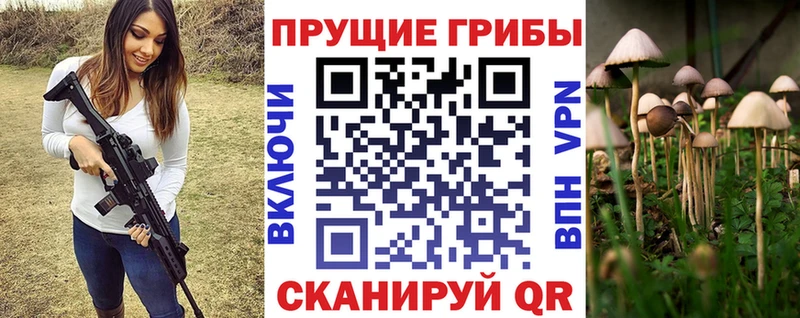 наркотики  Белгород  blacksprut ссылка  Псилоцибиновые грибы Psilocybine cubensis 