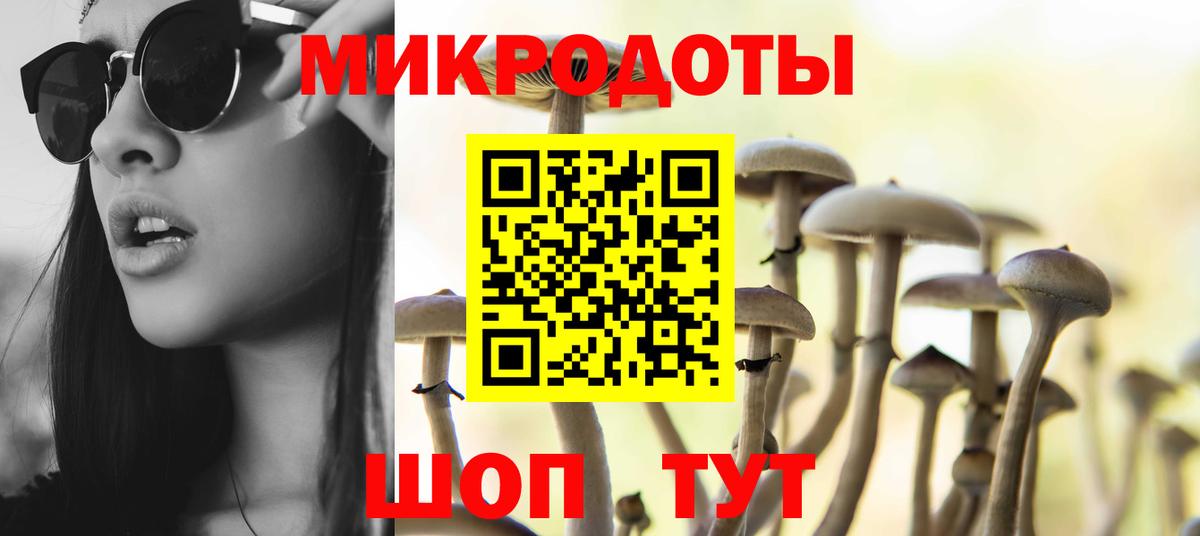 Псилоцибиновые грибы Psilocybine cubensis Белгород